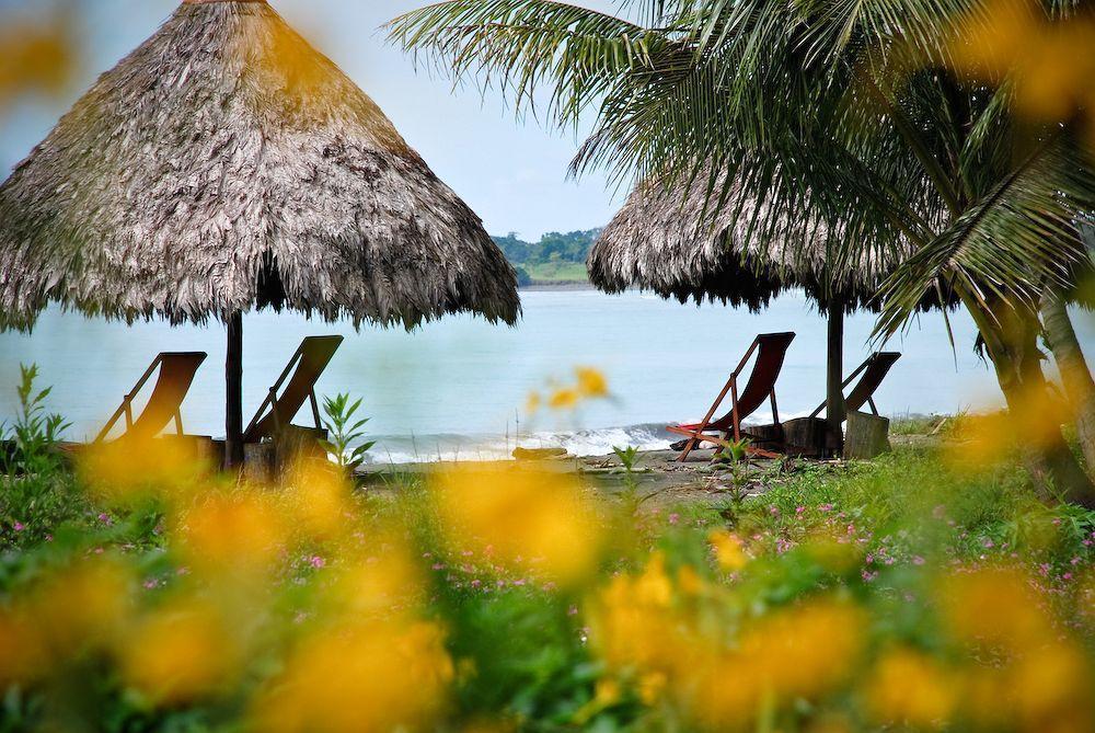 Iguana Lodge Beach Resort Puerto Jiménez 외부 사진